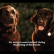 Image for article titled I Watched the Only Rom Com I Refused to Watch